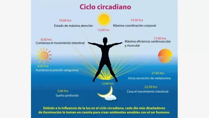 Por qué es importante la vitamina D y cómo se toma