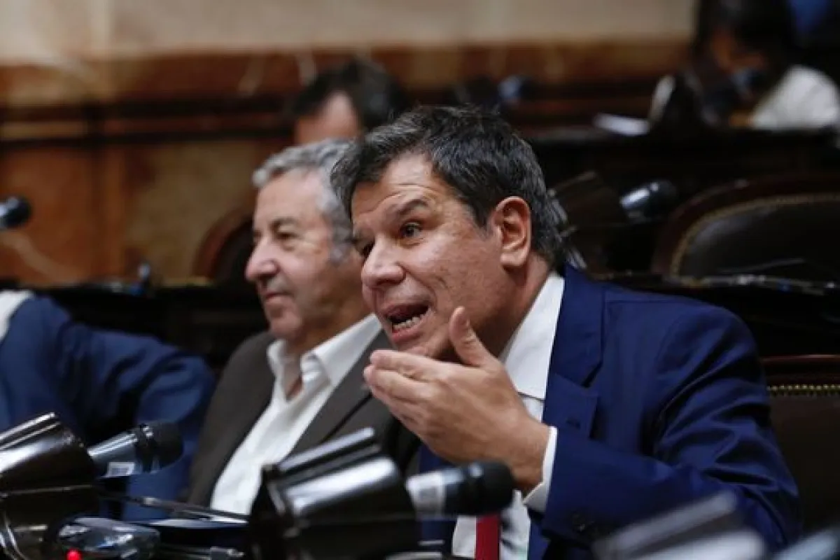 Facundo Manes.