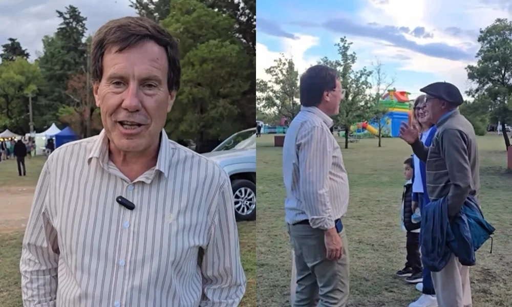 Éxito total de la Fiesta del Olivo