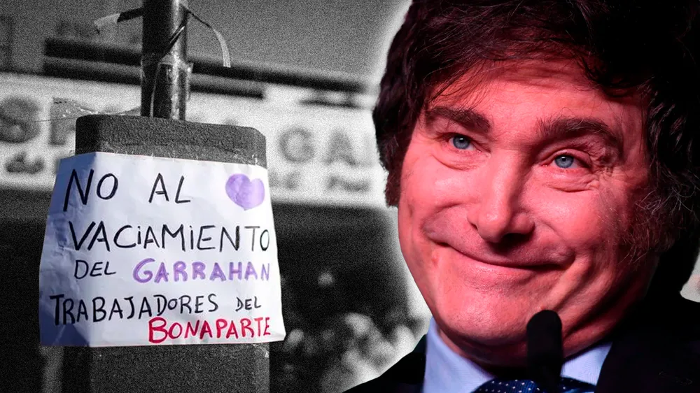 Fiel a su estilo, Milei vetó la emergencia en pediatría