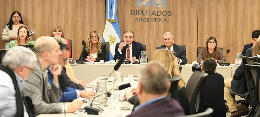 El sector automotriz expuso en las comisiones de Comercio y Pymes de Diputados