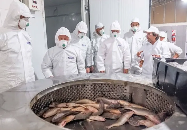 Recorrida por la planta procesadora de pescado de la Cooperativa de Trabajo Argentina Modelo Industrial Ltda