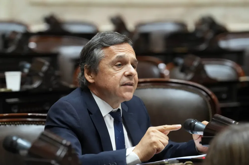 Diego Giuliano, diputado nacional