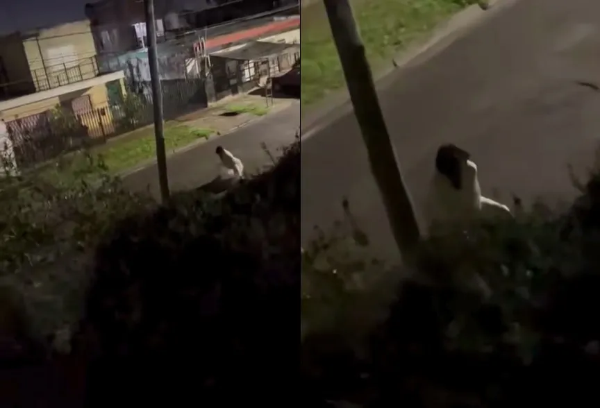 Salió a la calle disfrazado de monstruo y dio una lección inolvidable a sus sobrinos