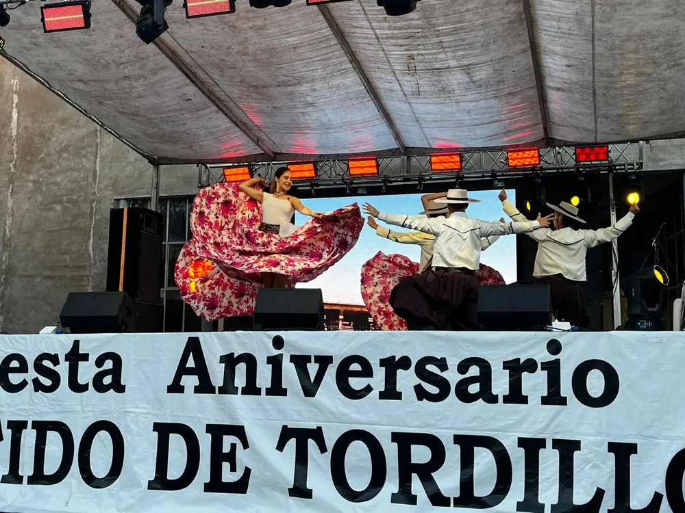 Tordillo2