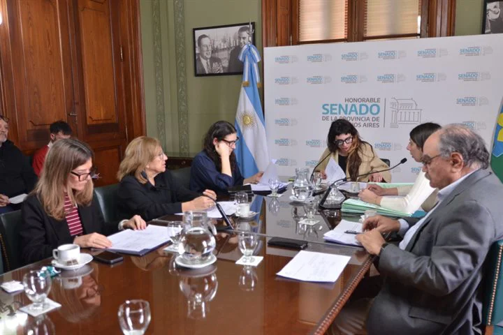 Comisión de Derechos Humanos del Senado.