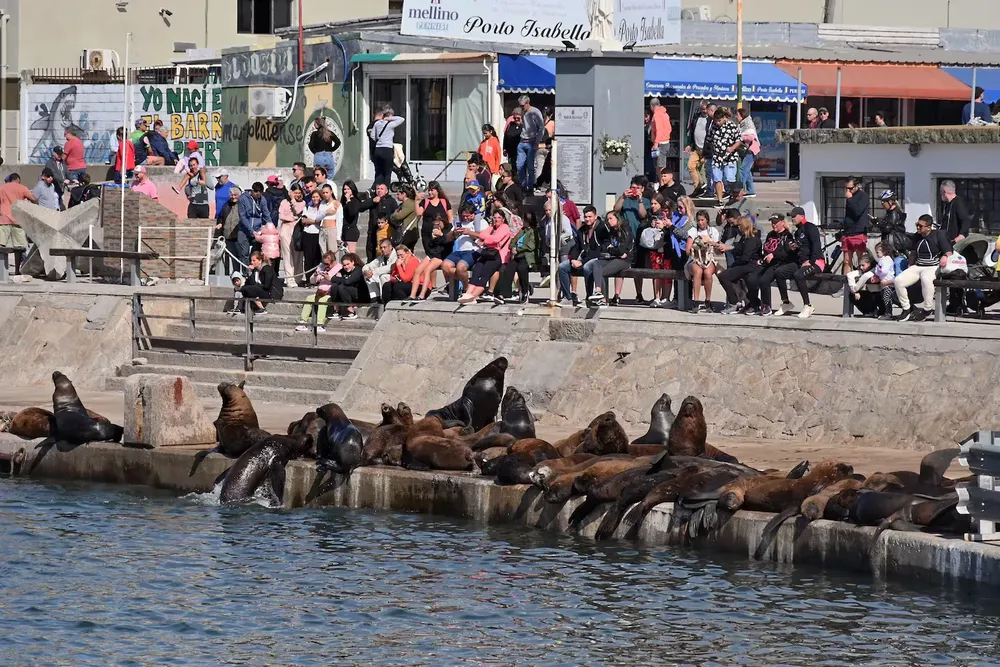 mar del plata turismo