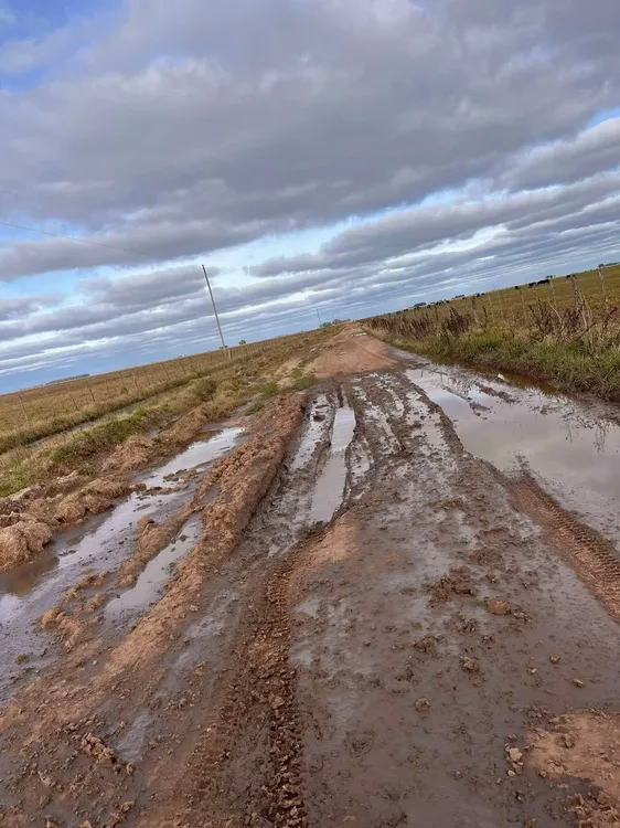 Caminos rurales General Guido