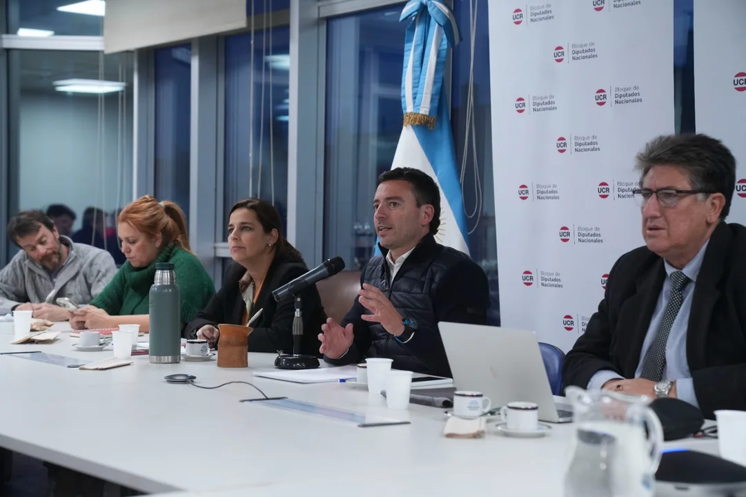 Diputados de la UCR.