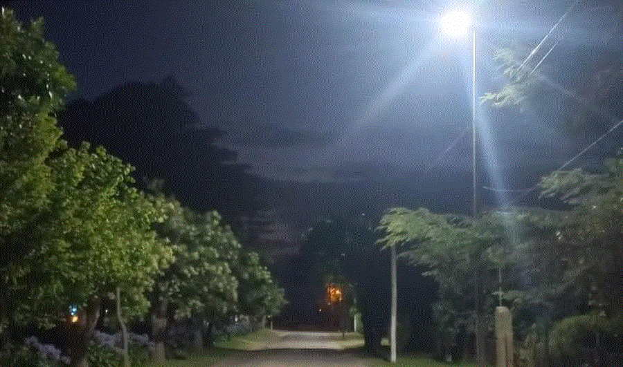 Con inversión municipal, Los Pinos apuesta a la sostenibilidad con luces LED.