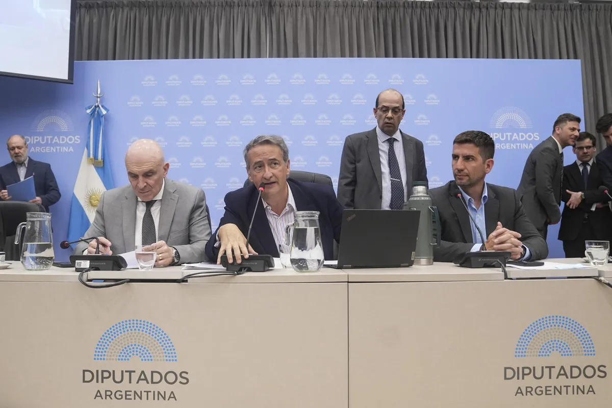 Suspensión de las PASO: fecha del plenario y negociaciones al rojo vivo