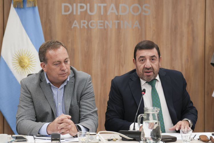 Tensión en Diputados por las rutas abandonadas interpelación a funcionarios y reclamos provinciales