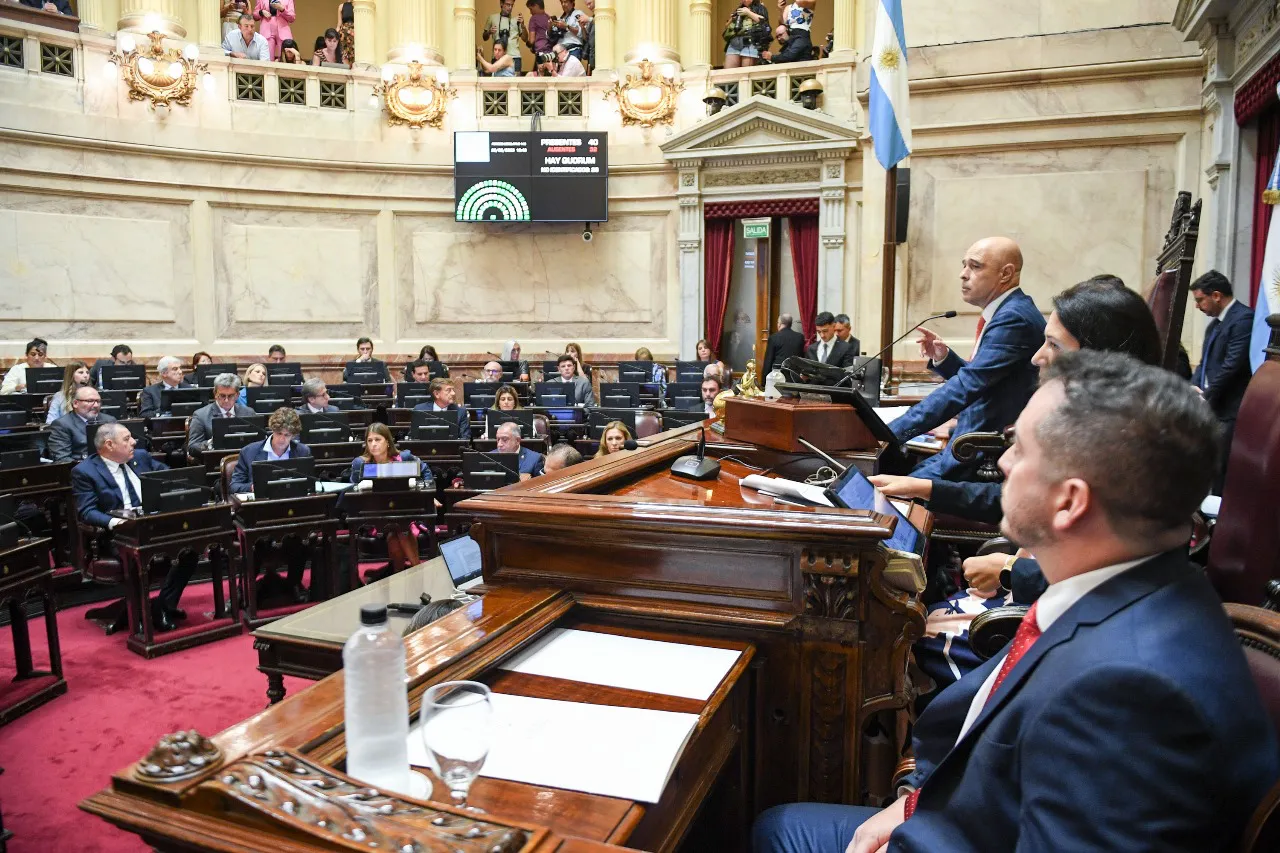Con 43 votos a favor, el Senado eliminó las PASO de este año