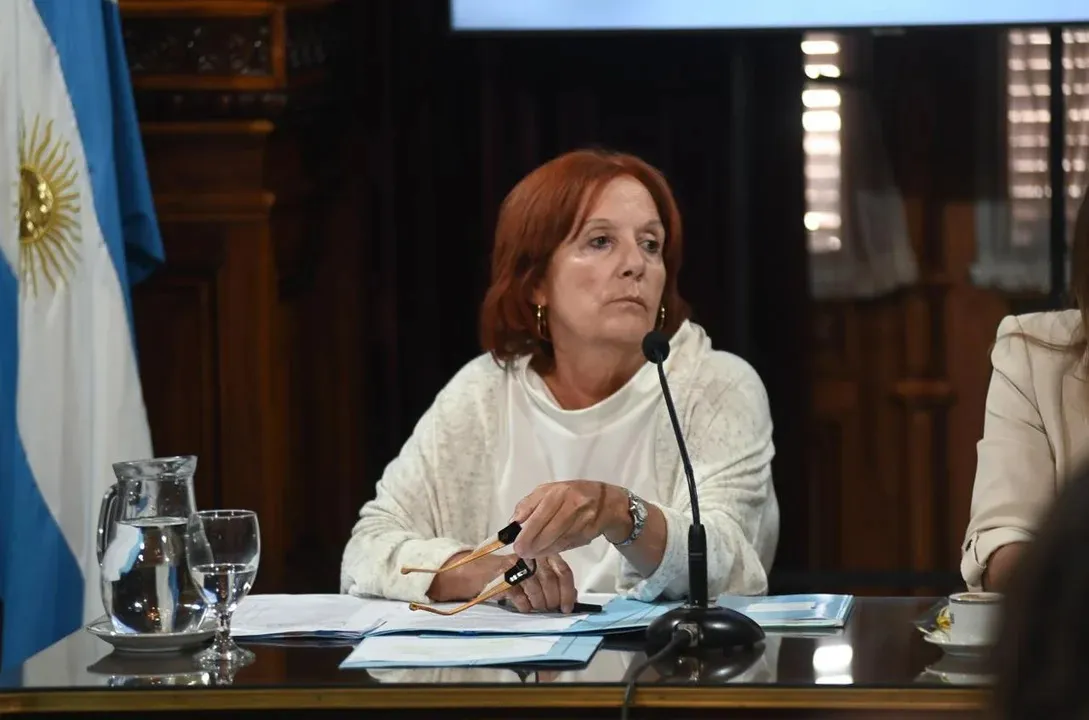 Alejandra Vigo, titular de la comisión de Asuntos Constitucionales de la Cámara alta.