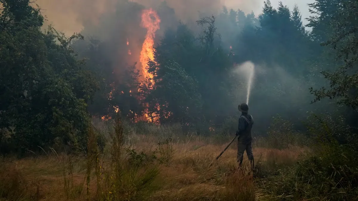 Incendios en la Patagonia: Crisis ambiental y judicial en aumento