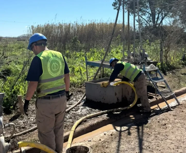 obras alberti 2