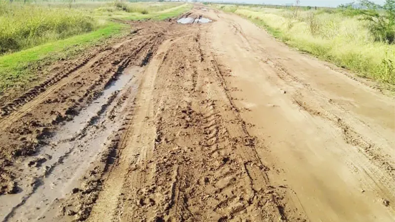 Caminos rurales destrozados en General Villegas
