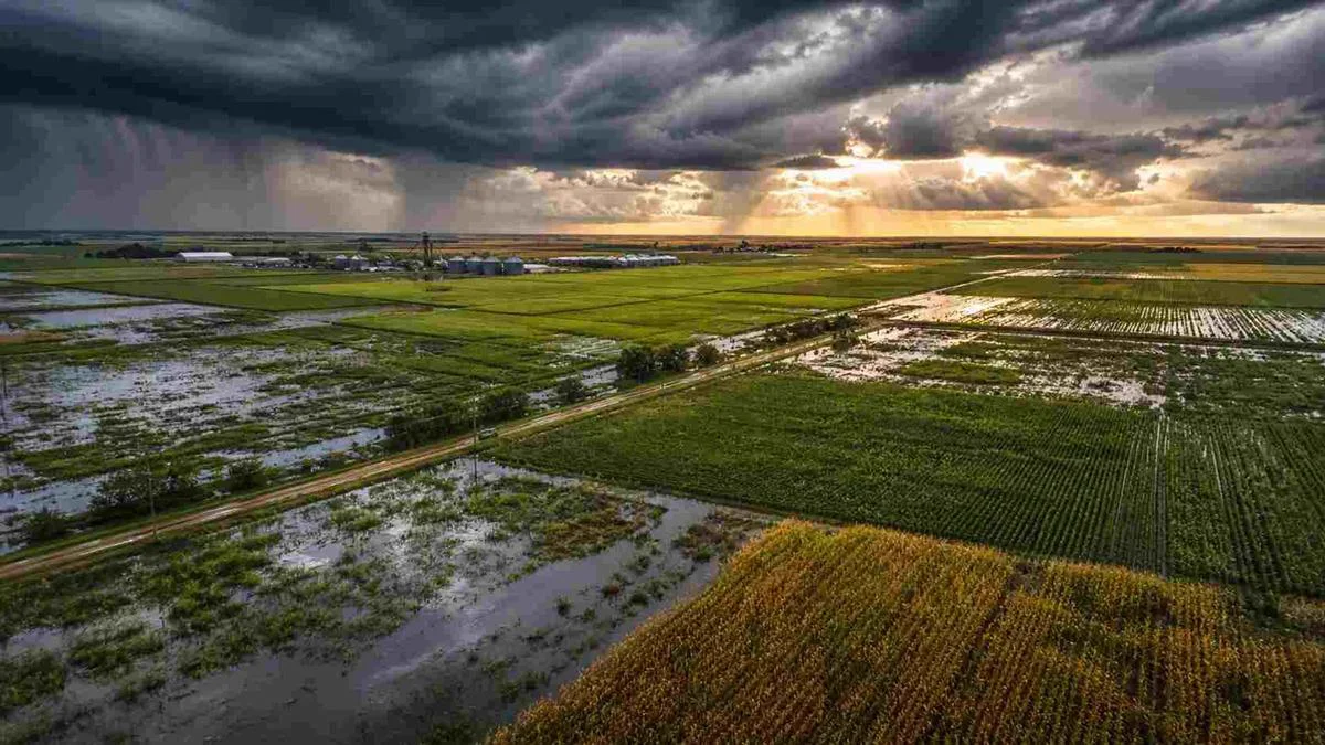 El Niño 2026: maíz, soja y excesos hídricos en el mapa bonaerense.