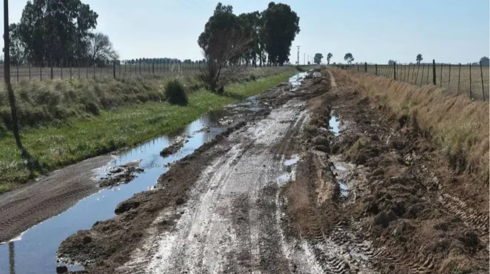 Caminos rurales Colón