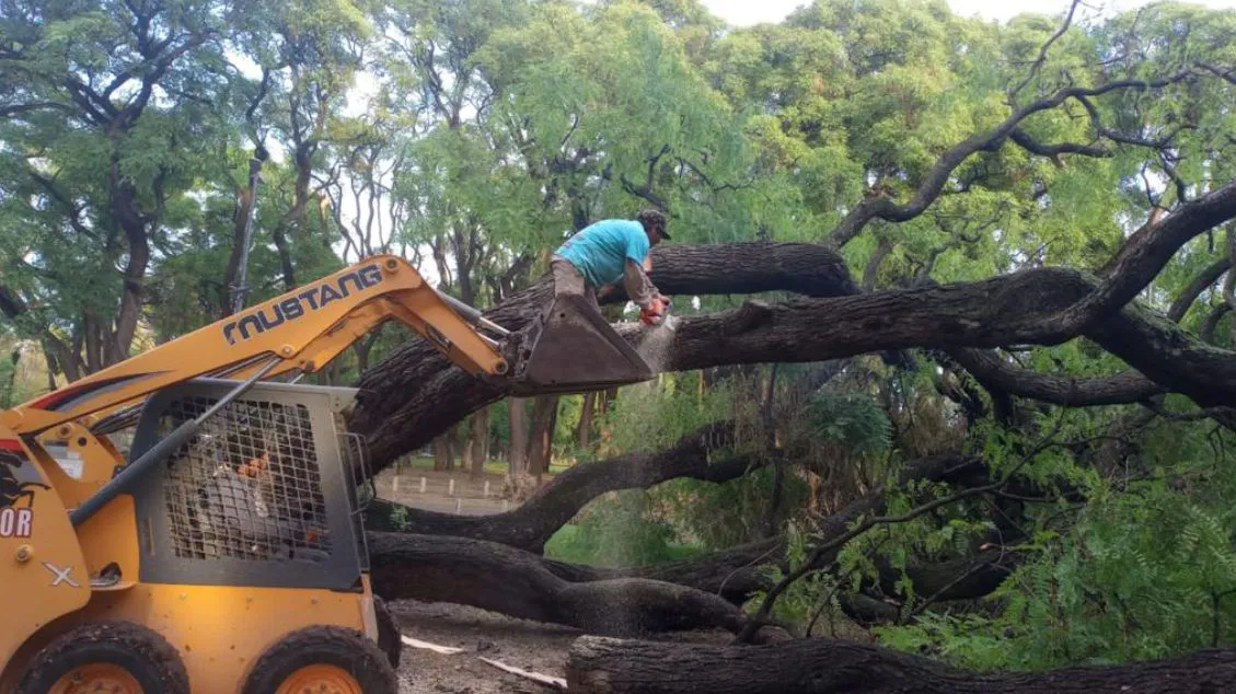 clip_20231229_17.45.03