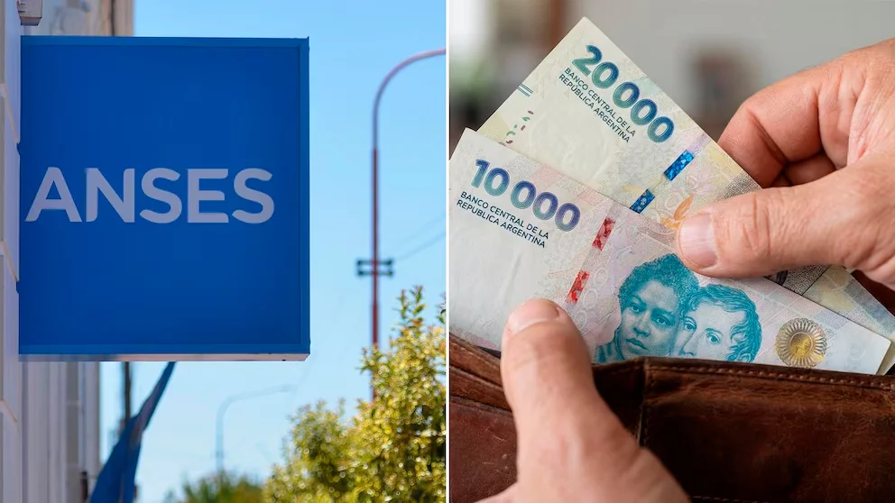 ANSES 10000
