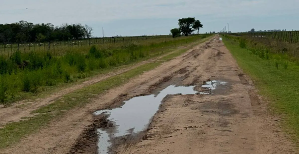 Caminos rurales en mal estado en Lincoln