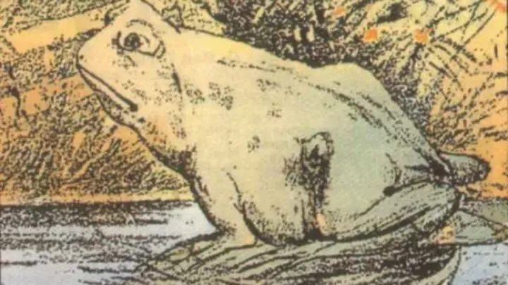 6 ilusiones ópticas que revelan mucho sobre tu personalidad