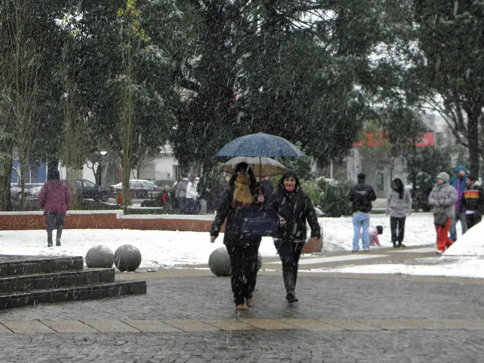Ola Polar