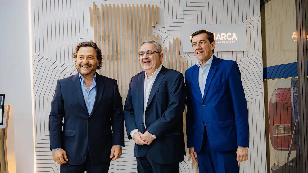 Gobernadores contra Milei