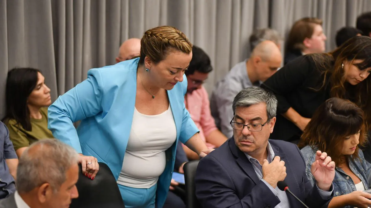 Tensión en Diputados exigen al Gobierno aplicar las leyes de Emergencia Pediátrica y Financiamiento Universitario