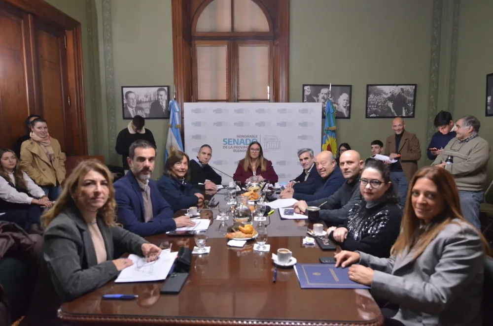 Comisión de Presupuesto e Impuestos del Senado bonaerense.