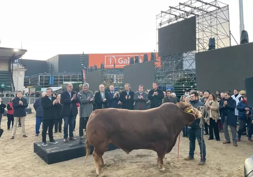 Nicolas Pino confirmo que hablo con Massa y podria haber una reunion en los proximos dias