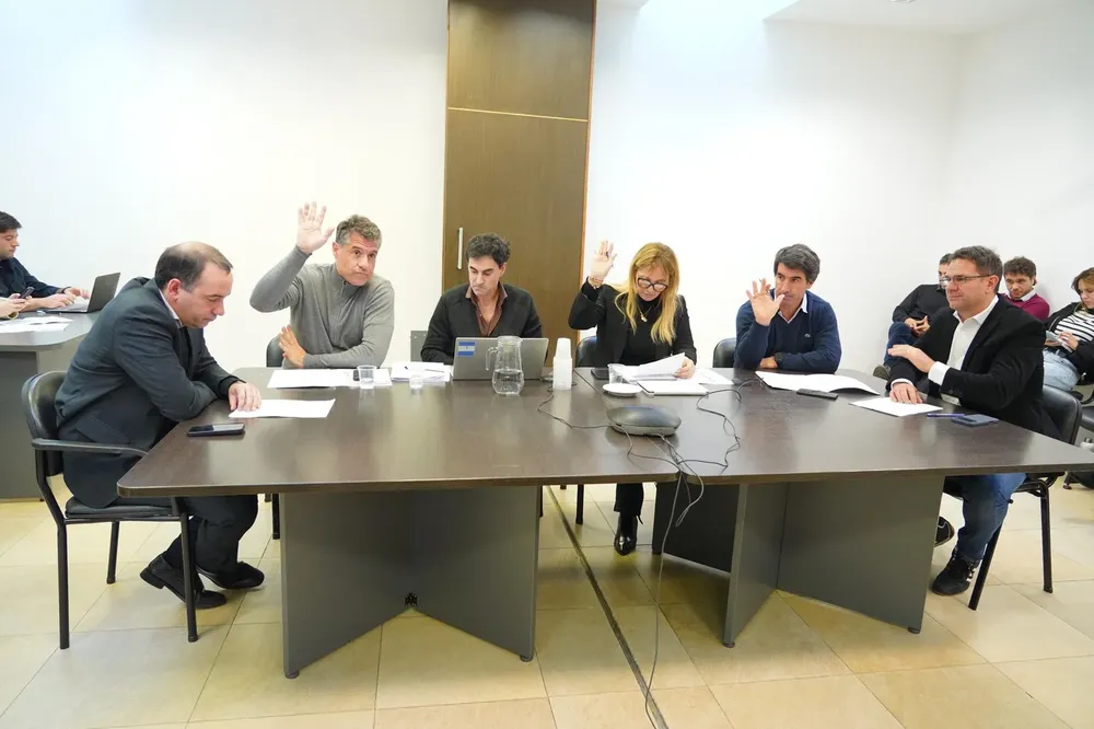 Reunión de la Comisión de Deportes de la Cámara de Diputados bonaerense.