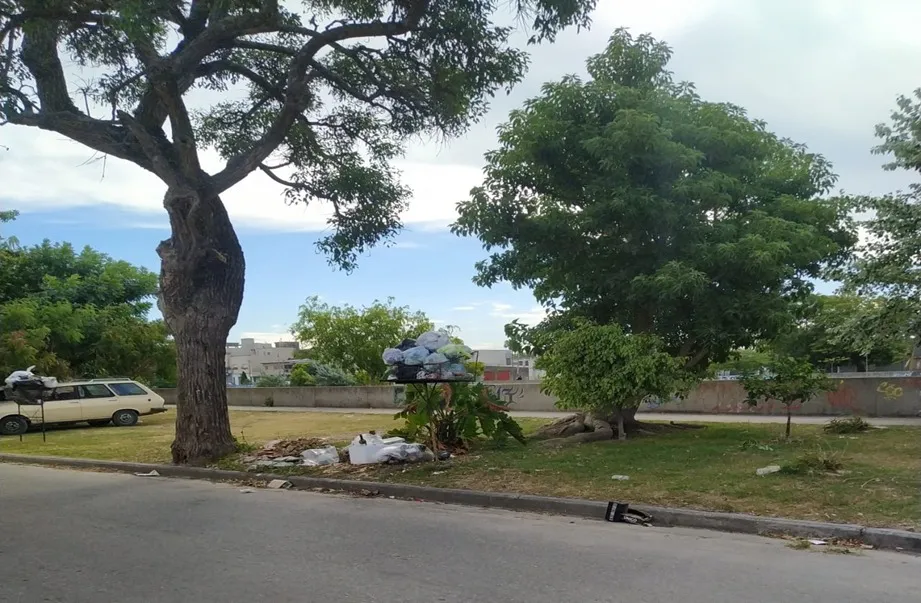 Basura sin recolectar en Berisso