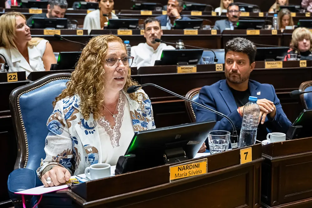 Diputados Unión por la Patria