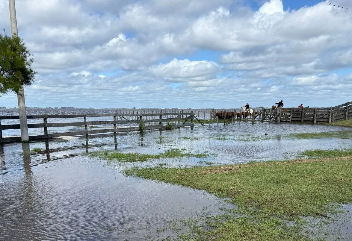 Inundaciones en el campo bonaerense