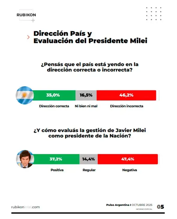 Rubikon encuesta octubre