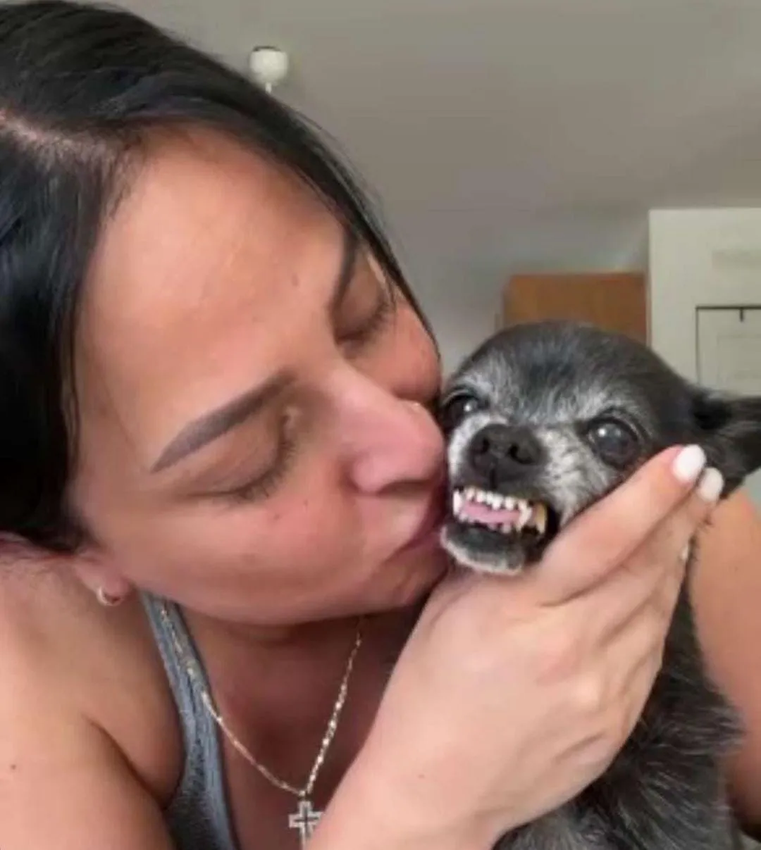 Toto, el chihuahua que necesita un exorcista