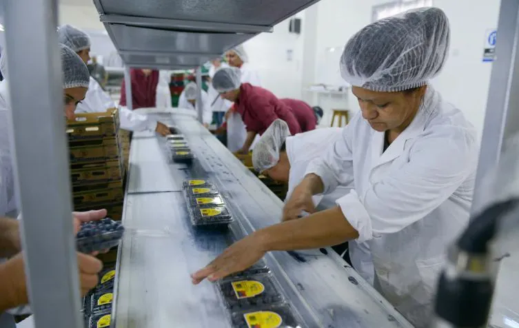 Comer es cada vez más caro