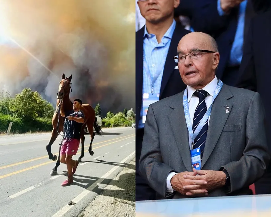 Incendios en El Bolsón: 1.600 hectáreas arrasadas y sospechas contra Lewis