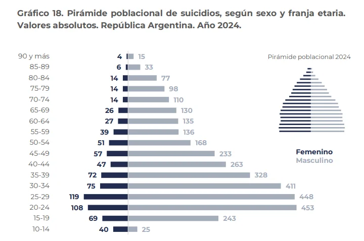Informe SNIC Nacional 2025.