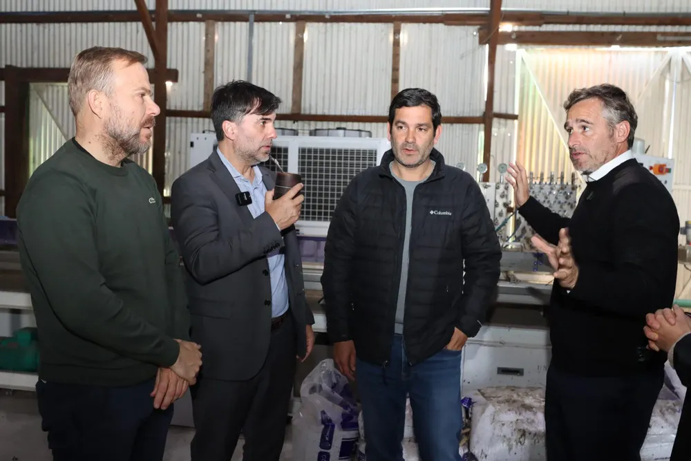 Junto a Granados y García, Achával visitó a Echarren en Castelli.