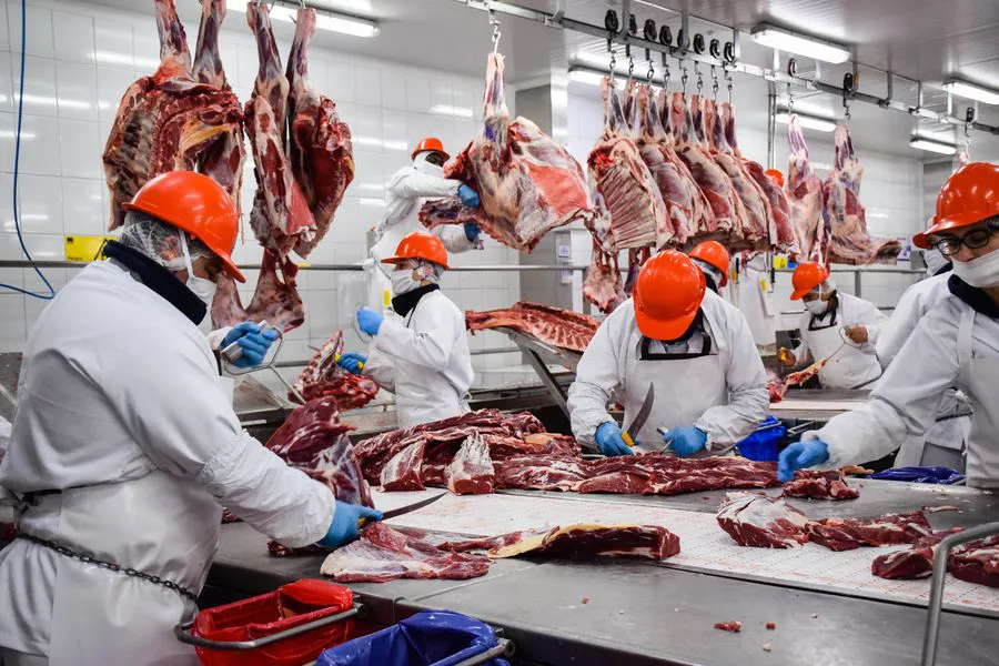 Exportaciones de carne bovina