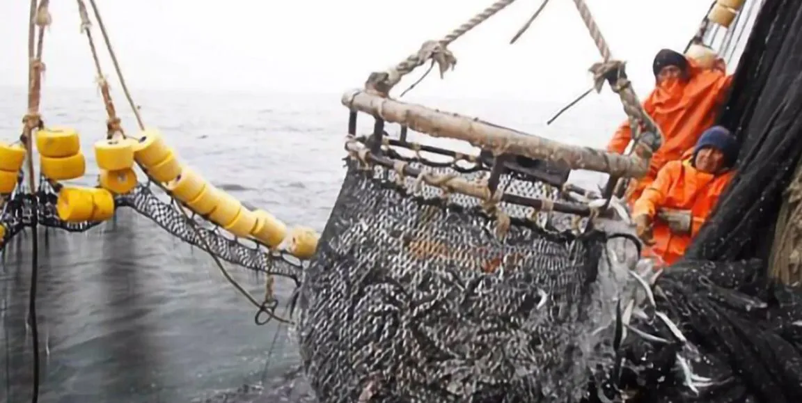 Denuncian la pesca ilegal