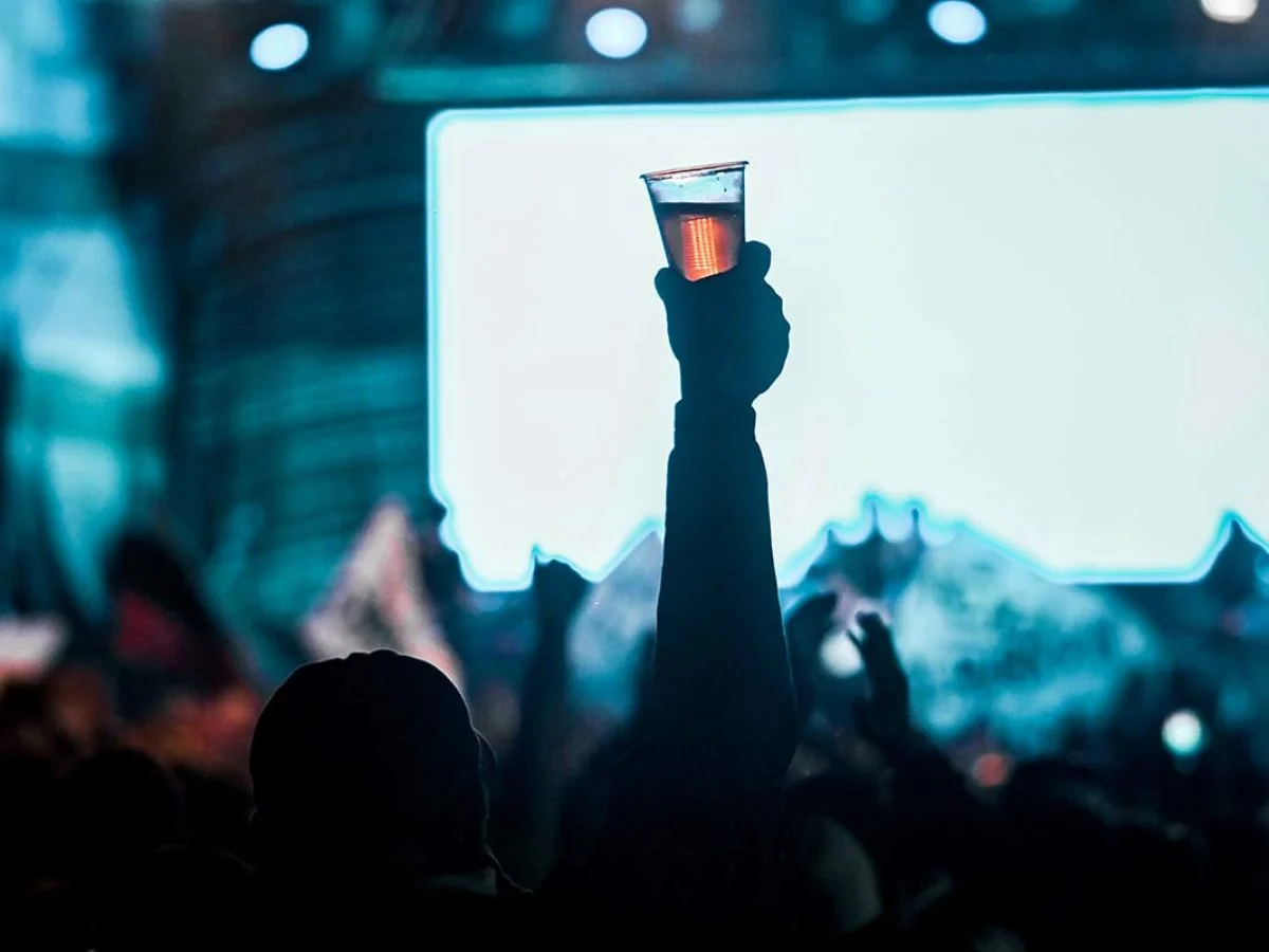 Fiesta Nacional de la Cerveza Artesanal
