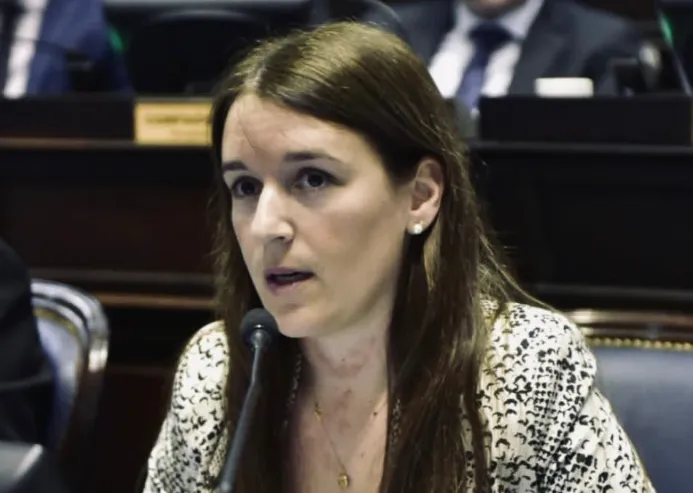 Diputada Abigail Gómez