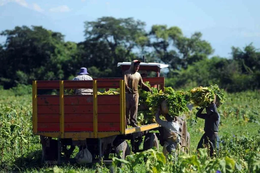 Denuncias anónimas y online: el plan laboral de la Provincia
