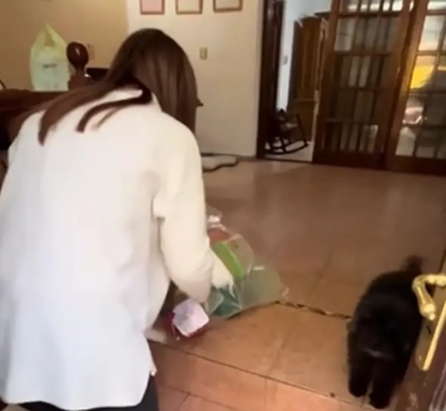 Le devuelve a su mamá una bolsa de tuppers y la dramática reacción se hace viral