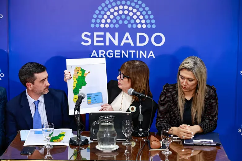 Senado Bullrich Ley de Tierras