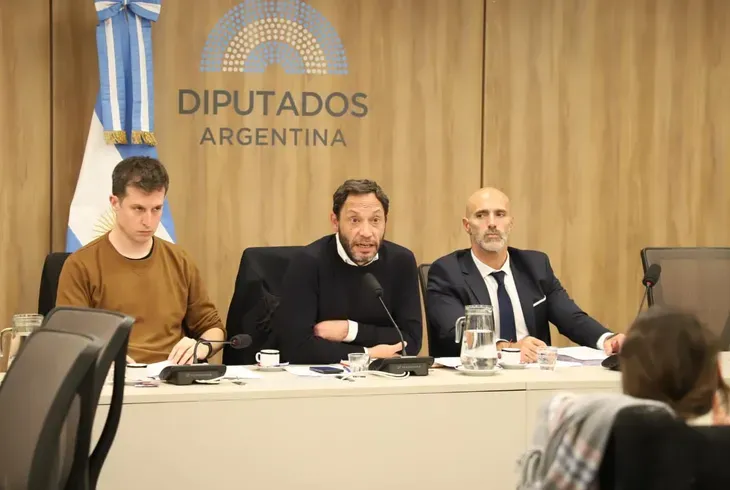 Diputados Comisión LIbra